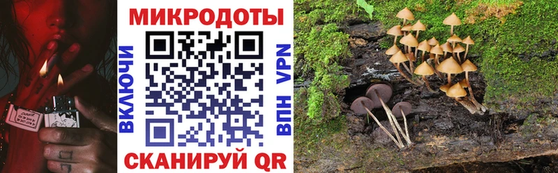 продажа наркотиков  MEGA маркетплейс  Галлюциногенные грибы Psilocybine cubensis  Кудрово 