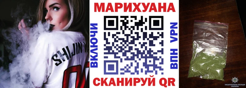 Конопля сатива  Кудрово 
